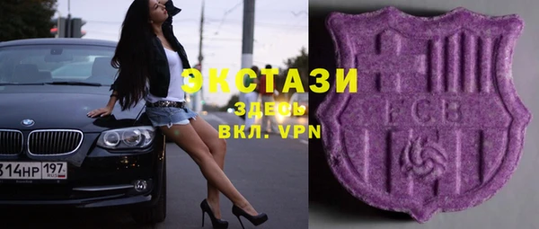 стаф Алзамай