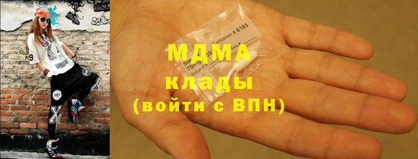 стаф Алзамай