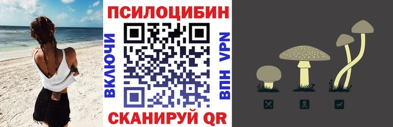 Галлюциногенные грибы MAGIC MUSHROOMS  купить наркотик  Пушкино 