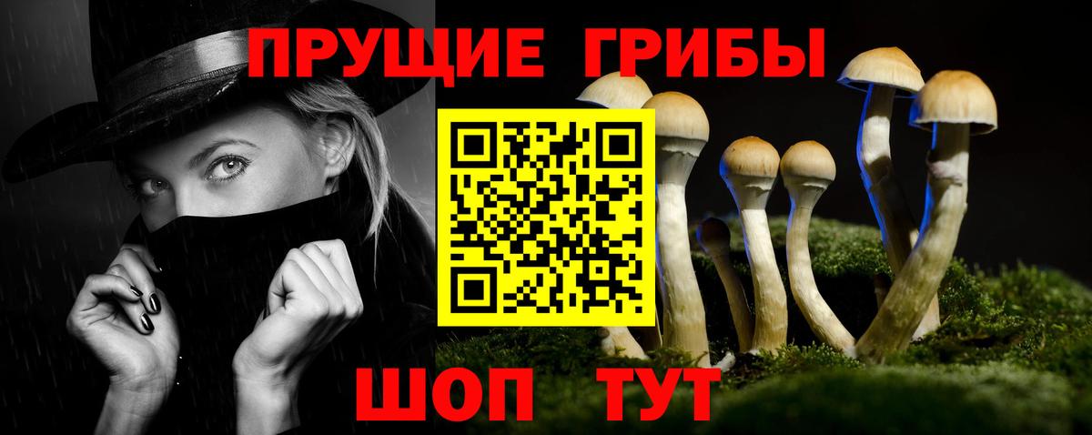 Галлюциногенные грибы Psilocybine cubensis Пушкино